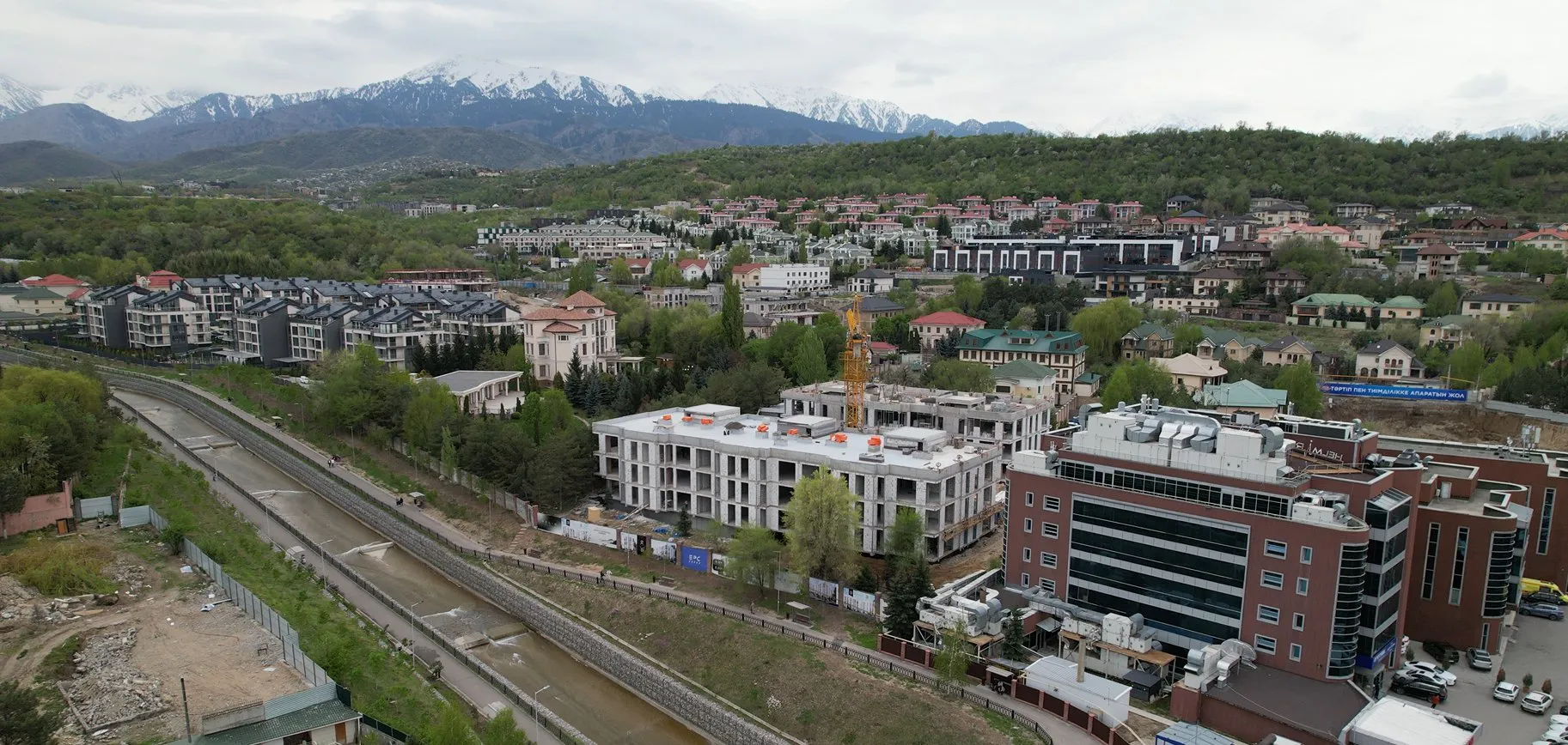 selin_apr_01.webp